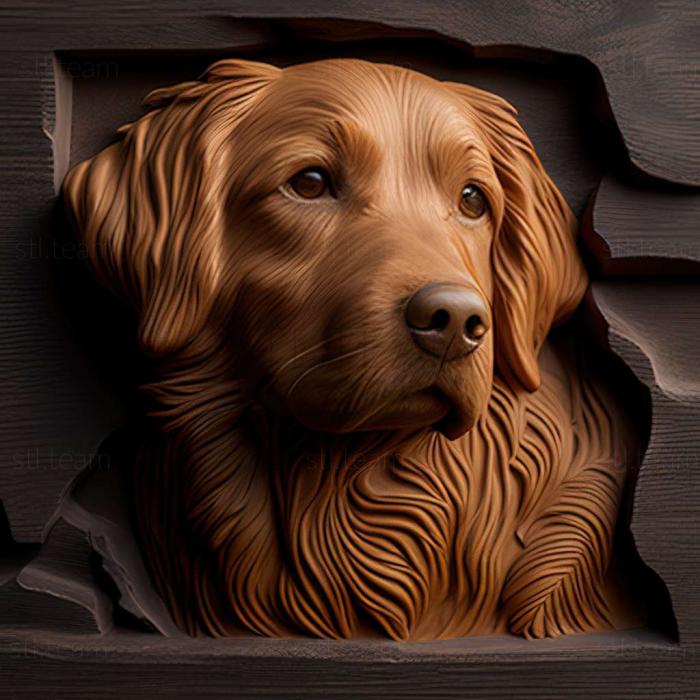 3D model The Nova Scotia Retriever dog (STL)